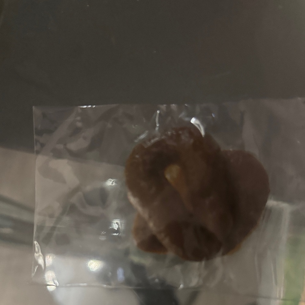 Brown Reptile Hide/Decor for Terrarium - Brown